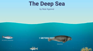 The Friday Bulletin. February 20, 2026